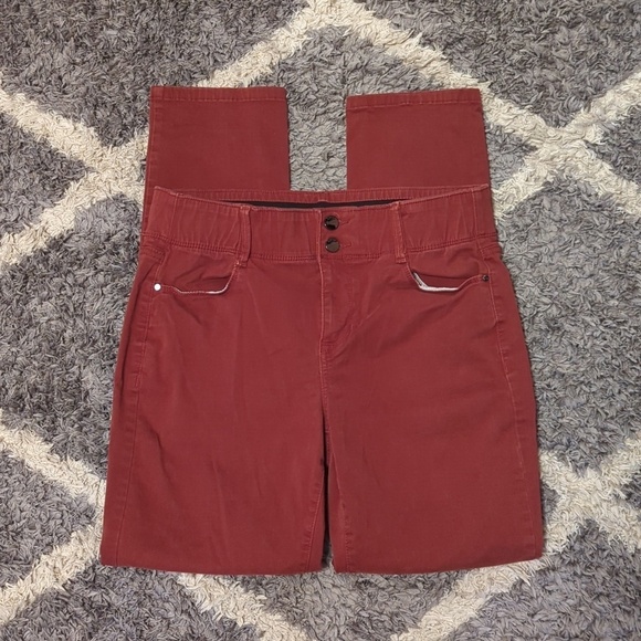 Apt. 9 Pants - Apt. 9 Straight Leg Elastic Waist Pant Soft and Stretchy Rust colored Size 12